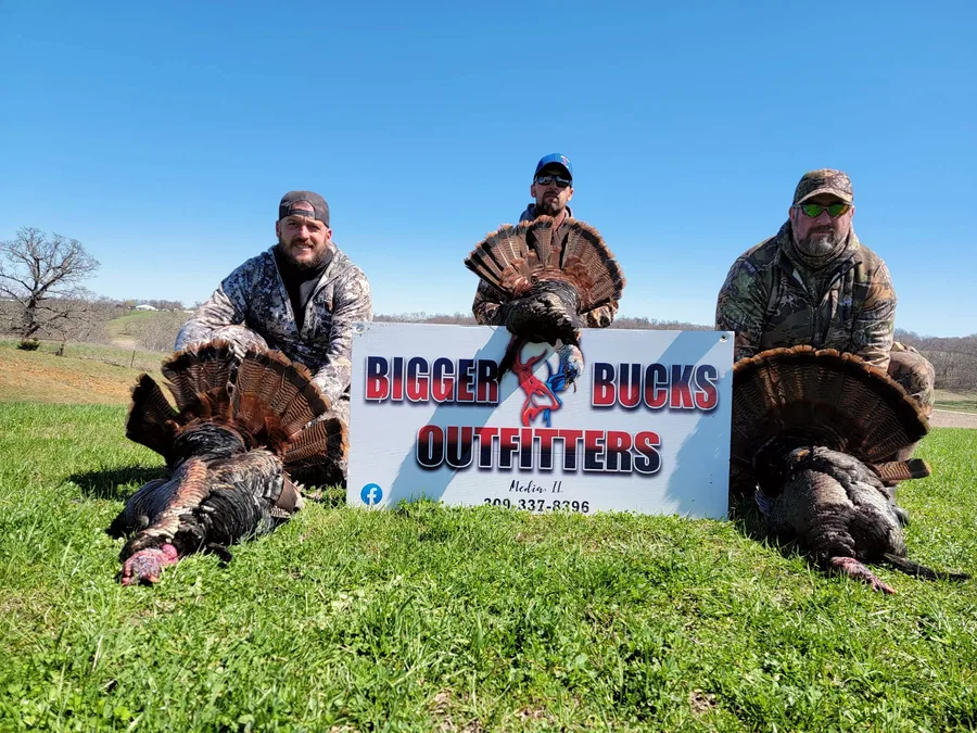 Three hunters with spring gobblers taken at Bigger Bucks Outfitters in Media Illinois